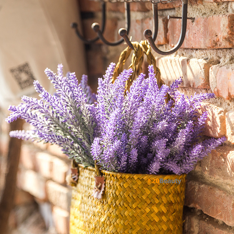 Hoa Lavender tím pastel